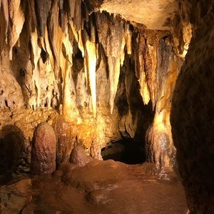 Meet your Posher, Citlaly